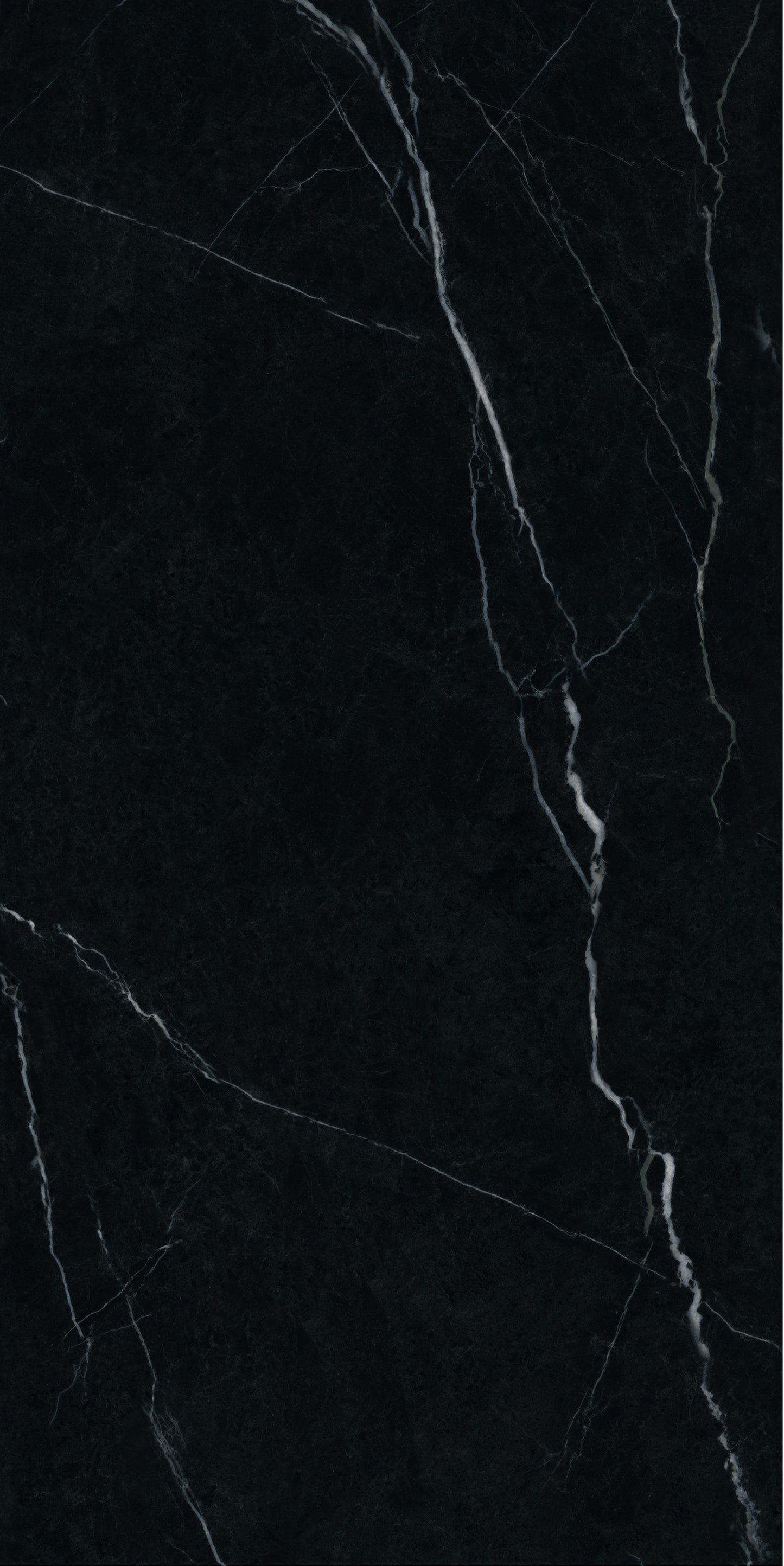 600*600 Nero Marquina Matt Floor Tile image 0