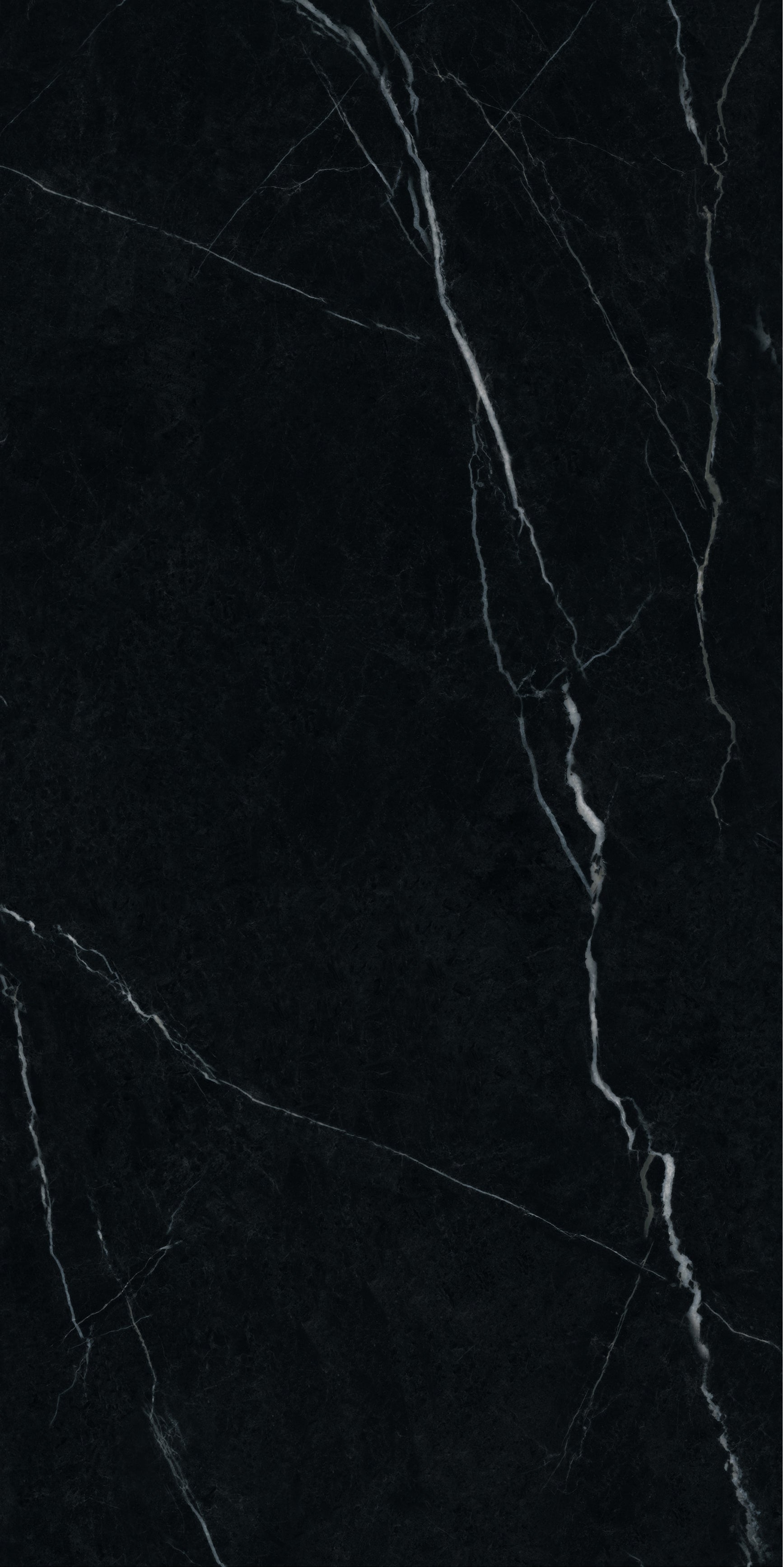 600*600 Nero Marquina Matt Floor Tile image 0